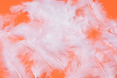 Peří ozdobné délka 5-9cm balení 7g